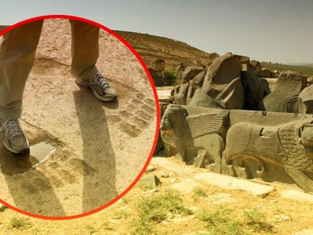 A0468610 69E4 4565 98CE A748096A7738