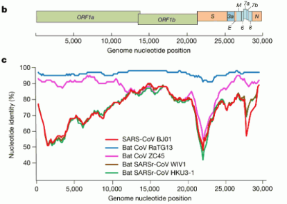 Scientists suggest that the COVID-19 strain first appeared in 2012 3 14955BF7 14C8 4923 87D8 77D854687041