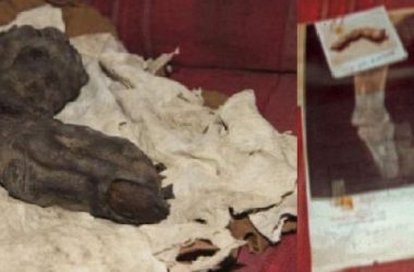 18B01EA5 FC44 4857 8360 8FDDF6C380FE