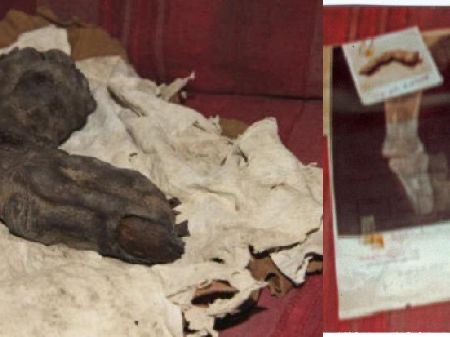 18B01EA5 FC44 4857 8360 8FDDF6C380FE