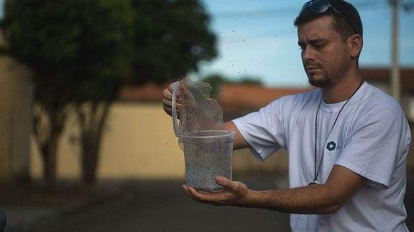 750 million genetically modified mosquitoes to be released in Florida