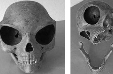 Cr neo de Sealand origen extraterrestr 2