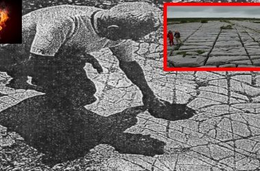 E492CDF1 5860 4697 8568 2FC2FE19A4D7