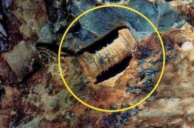 tornillo 300millones a os