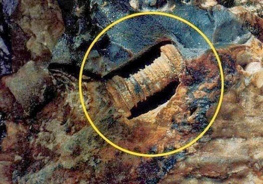 300 million years old screw  found by researchers could change history