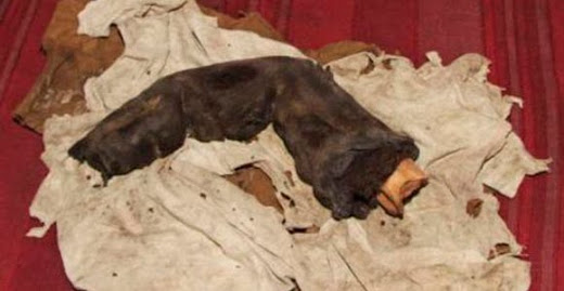 Giant finger found in Egypt: Evidence of the Nephilim?