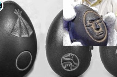 251657BB ECC2 44B9 BFAF 4E791CADA4DA