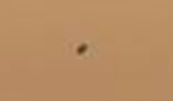 Photos Taken By NASA’s Curiosity Rover Shows Numerous UFOs On Mars 3 53157725
