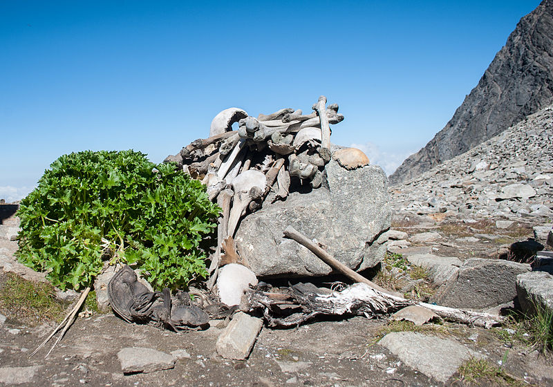 Ancient human remains frozen in the Himalayas (Skeleton lake), had DNA from over 3,500 miles away