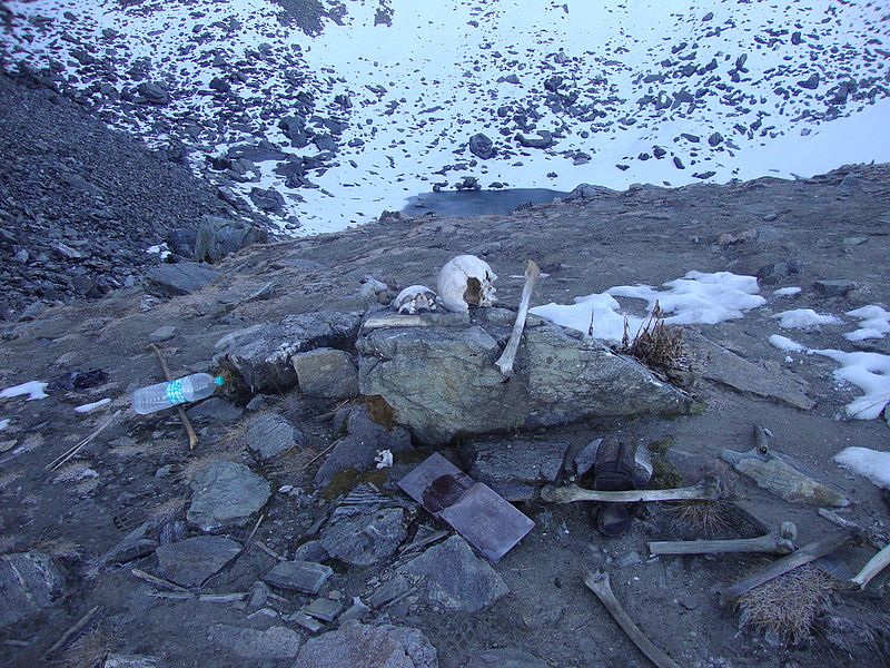 RoopkundTrishulHimalayas 1