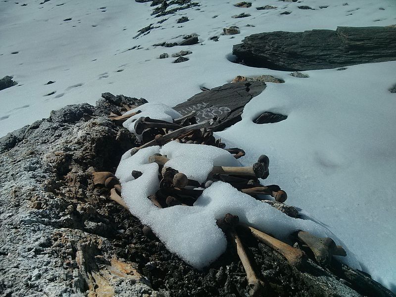 Ancient human remains frozen in the Himalayas (Skeleton lake), had DNA from over 3,500 miles away