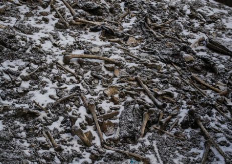 Ancient human remains frozen in the Himalayas (Skeleton lake), had DNA from over 3,500 miles away