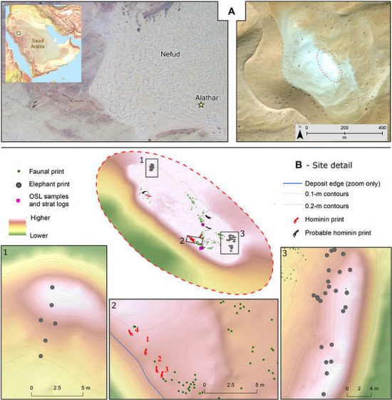 120,000-year-old human footprints found in Saudi Arabia - Infinity ...