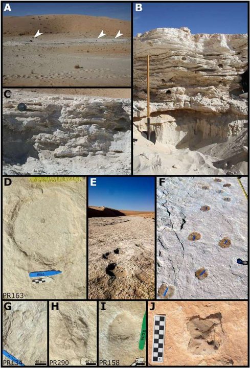 120,000-year-old human footprints found in Saudi Arabia - Infinity ...