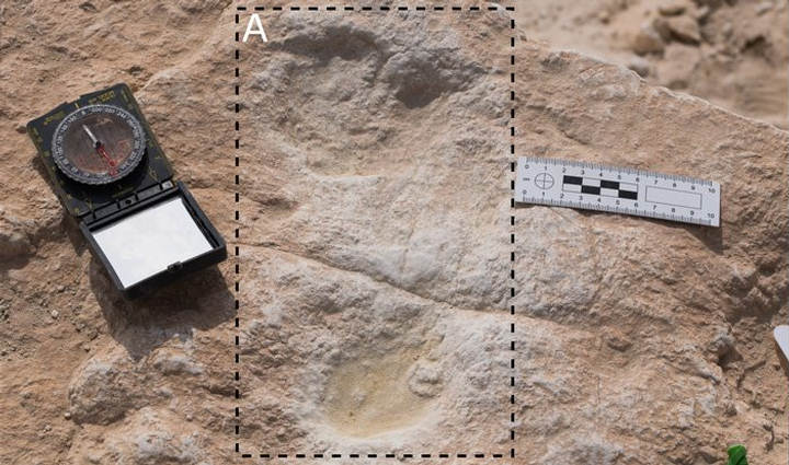 120,000-year-old human footprints found in Saudi Arabia