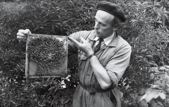 Gösta Karlsson: The man who met aliens and got rich using their technology witnessed by many