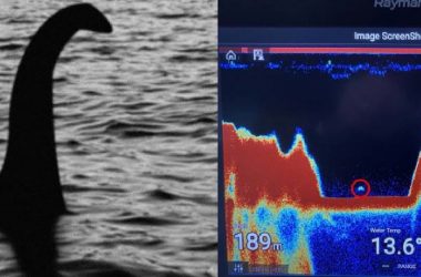 2B541517 E373 4A81 9BEE BD263F5F6852