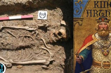 3AA9A2A5 D80E 4B1C 8876 15D9DDB8C09F