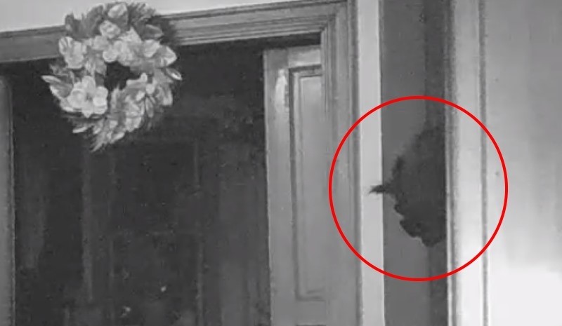 House Surveillance Camera Captures A Creepy Figure Peeking Out Of The Corner