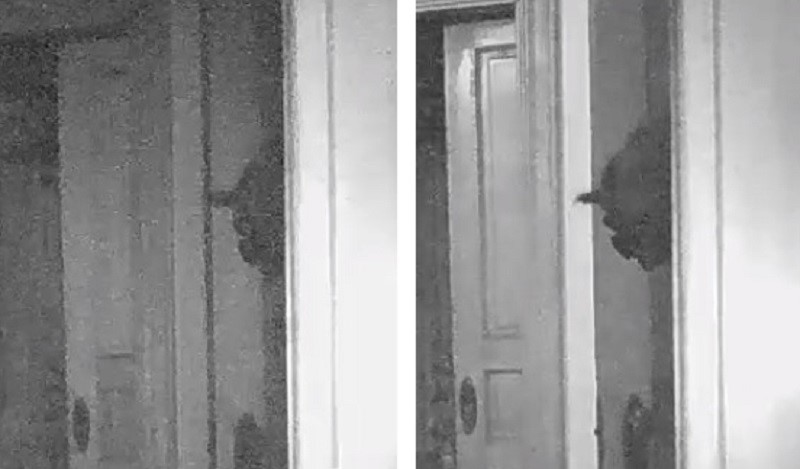 House Surveillance Camera Captures A Creepy Figure Peeking Out Of The Corner 2 88826279
