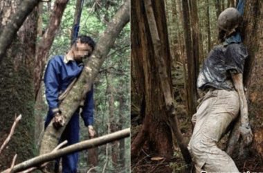 Bodies Found In The Japanese Suicide Forest