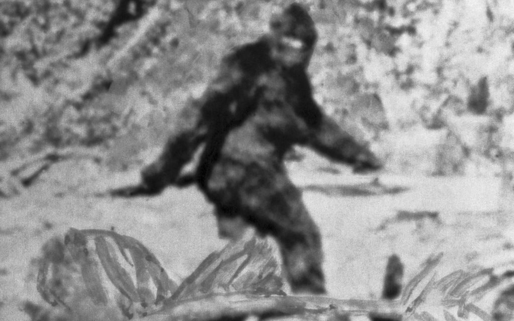 A man captured photos of a Bigfoot peeping through a window 1 Photos Of A Bigfoot