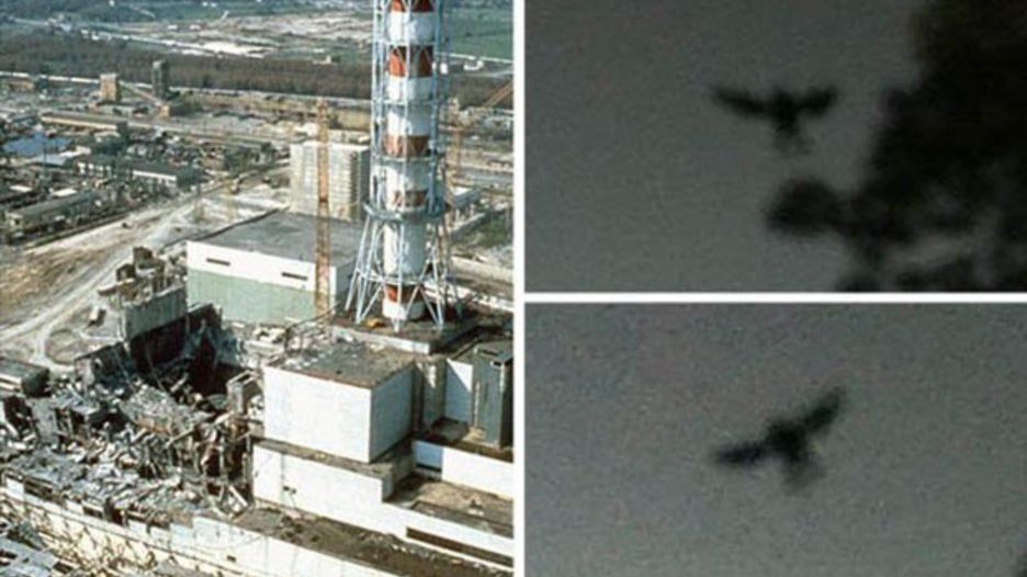 The Black bird Of Chernobyl: a Moth-Man Like Creature was spotted Before The Disaster