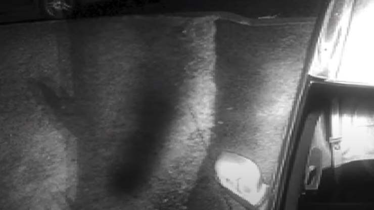 sombra demoniaca casa nueva york