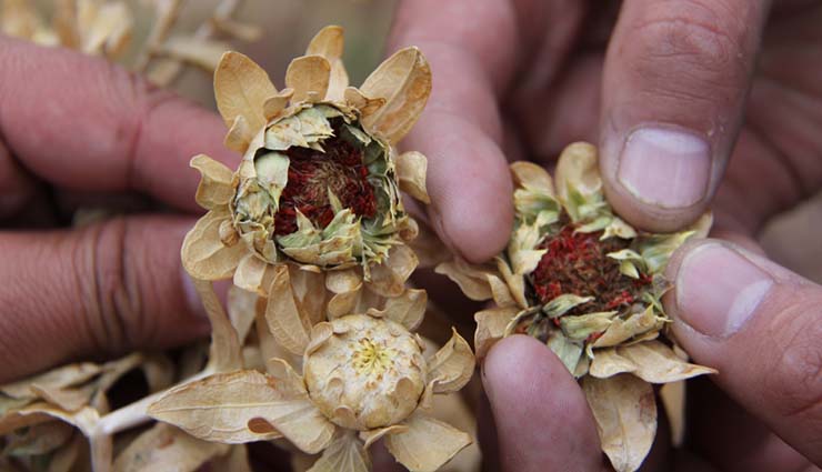 textos tibetanos pandemia