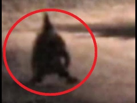 Little black humanoid creatures in white dresses from Texas