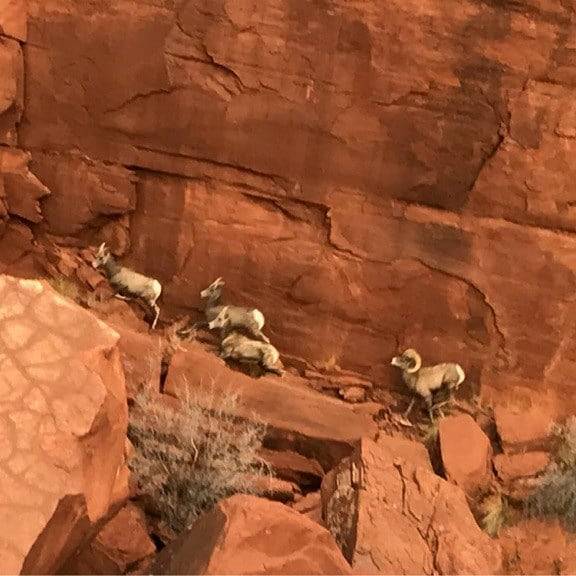 Mysterious Metal Monolith