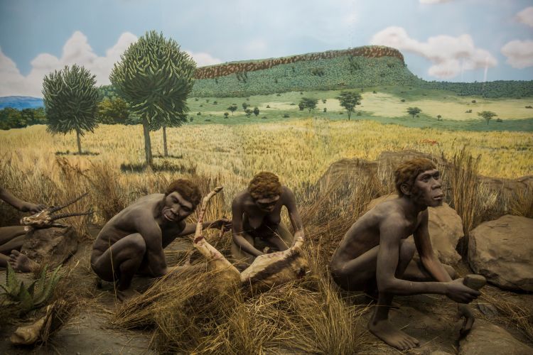 Mystery Of Saint Prest Bones: Were Humans Already Living in Europe 2 Million Years ago?