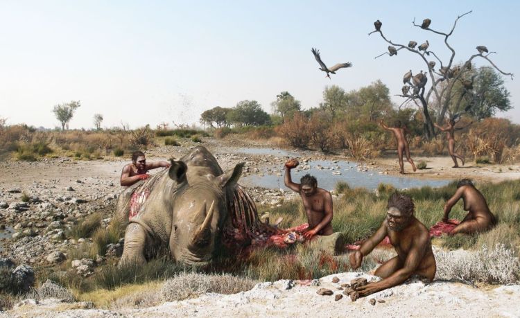Mystery Of Saint Prest Bones: Were Humans Already Living in Europe 2 Million Years ago? 3 Mystery Of Saint Prest Bones: Were Humans Already Living In Europe 2 Million Years Ago?