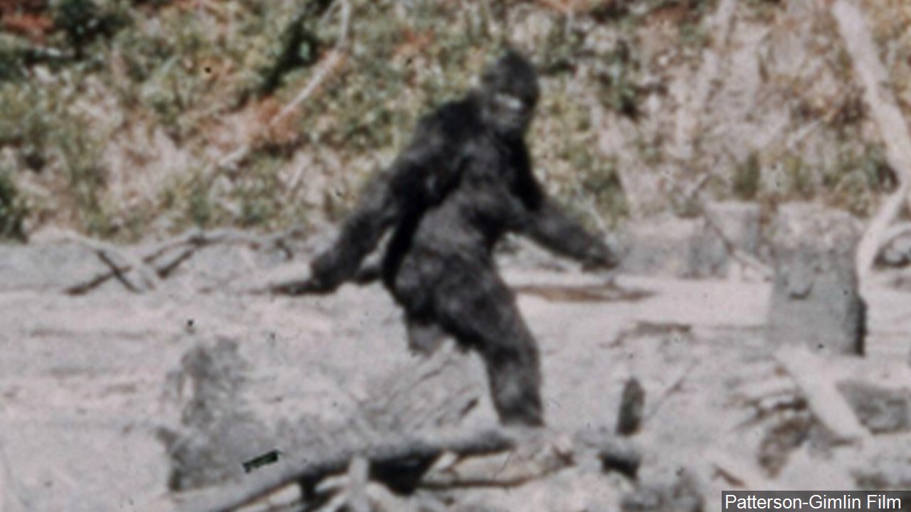 Most Convincing Bigfoot Sightings Around The World