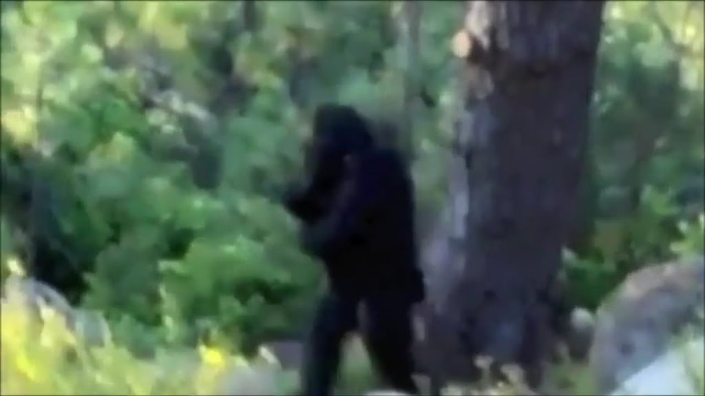 Most Convincing Bigfoot Sightings Around The World 4 Most Convincing Bigfoot Sightings Around The World