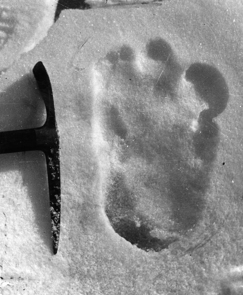 Most Convincing Bigfoot Sightings Around The World 2 Most Convincing Bigfoot Sightings Around The World