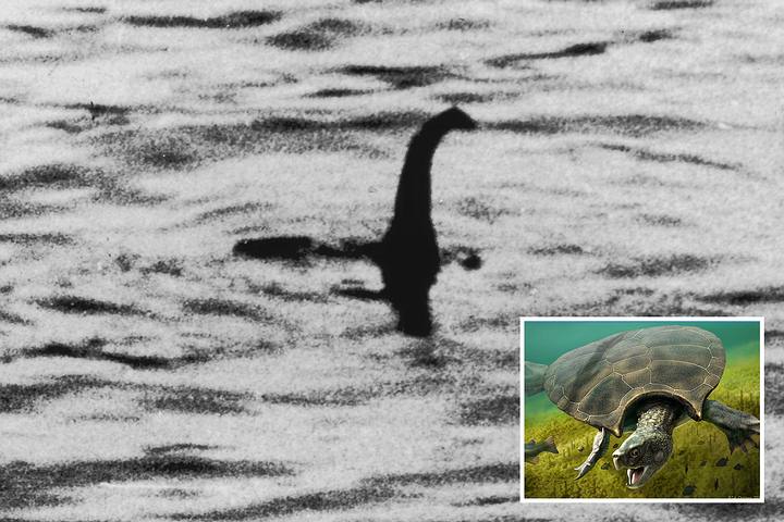 Scientist Affirms That Loch Ness Monster Might Be An Ancient Sea Turtle