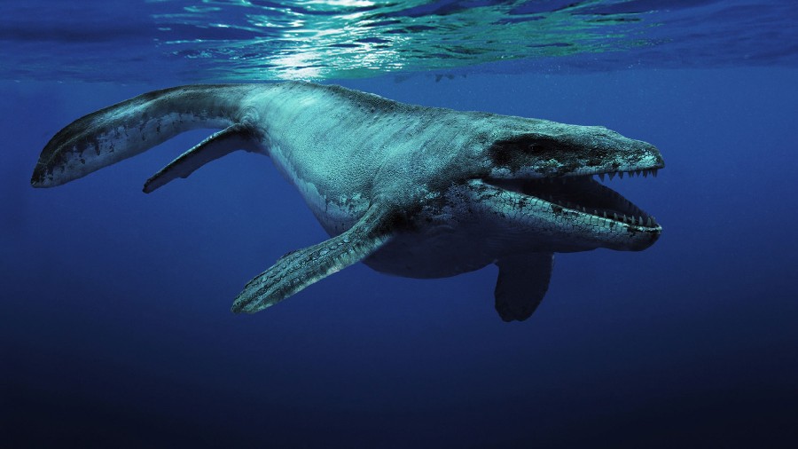 Scientist Affirms That Loch Ness Monster Might Be An Ancient Sea Turtle 2 Scientist Affirms That Loch Ness Monster Might Be An Ancient Sea Turtle