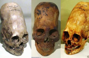 07824300b0f96254fad3b23272e9c985