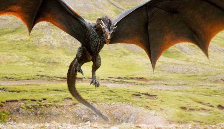 Renowned University Professor Assures That Dragons Existed And Cohabited With Humans 2 Dragons coexist wit humans
