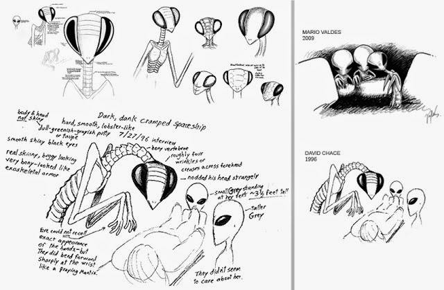 Man Claims That UFO And A Mantis Alien Cost Him His Job