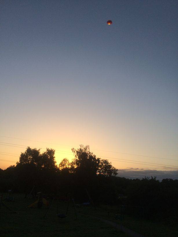 Man Claims That UFO And A Mantis Alien Cost Him His Job