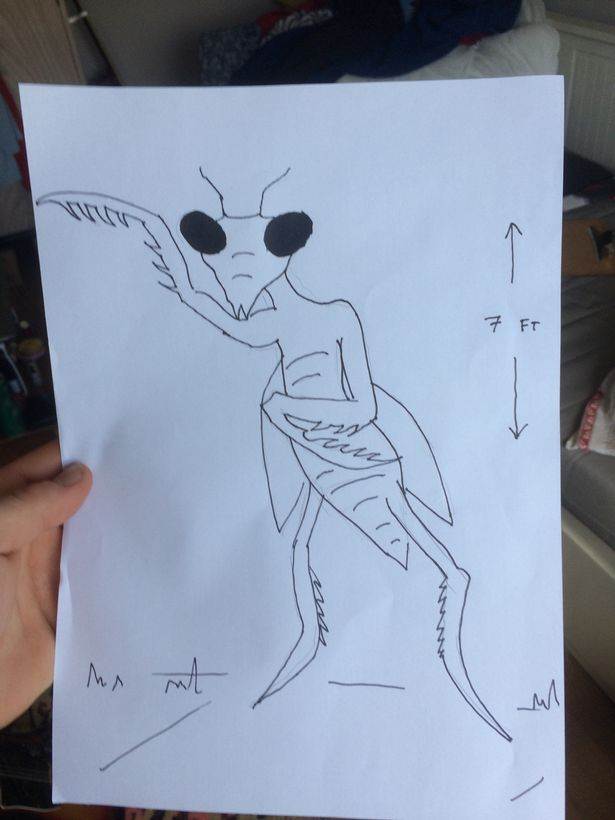 Man Claims That UFO And A Mantis Alien Cost Him His Job