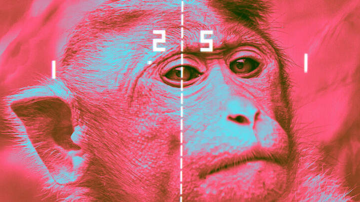 Elon Musk Says Neuralink Has Monkeys Playing Video Games With Their Mind 1 Elon Musk Says Neuralink Has Monkeys Playing Video Games With Their Mind