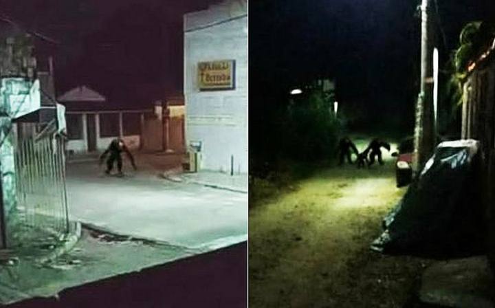 Rumor Of A Strange Creature Has Frightened Residents of Itaparica, Brazil
