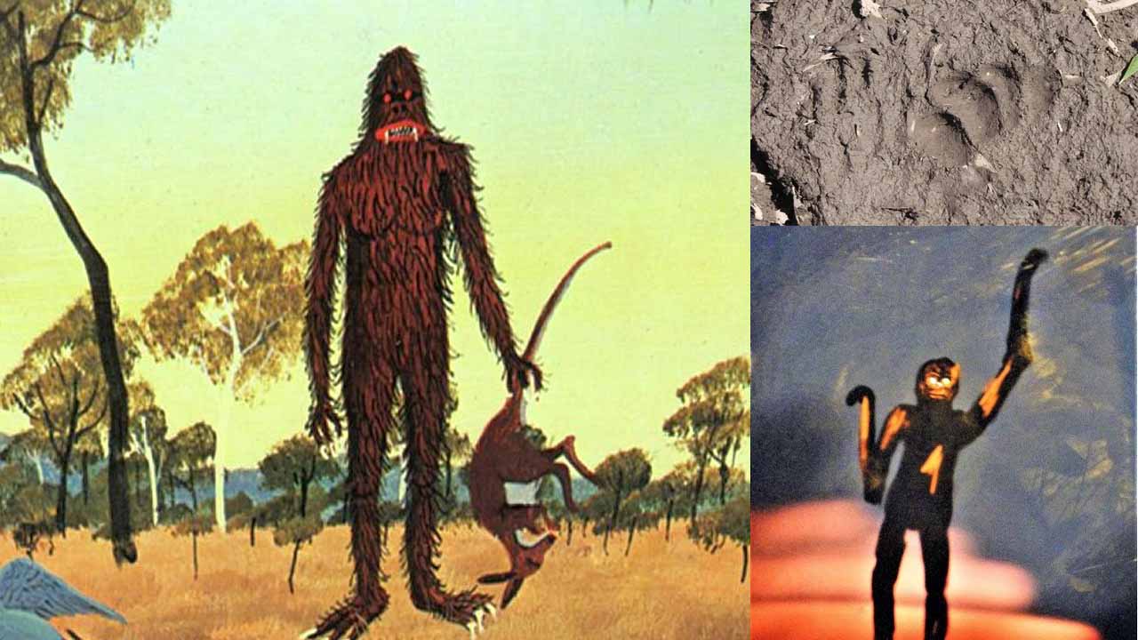 Strange Hairy Yeti Like Creature Witnessed In Australia By The Daughter Of A Biologist