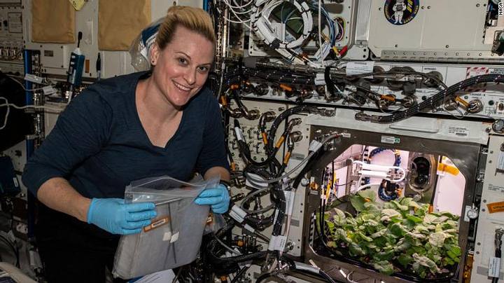 Unknown Microbes Discovered On International Space Station 2 Unknown Microbes Discovered On International Space Station