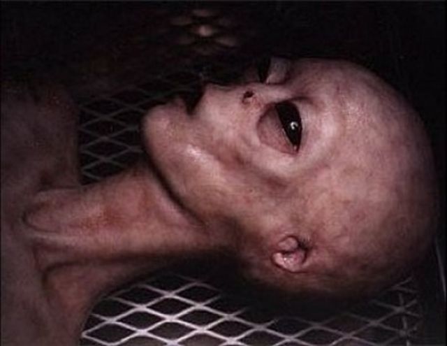 The Case Of A Doctor Who Found A UFO With Dead Aliens Near The Road