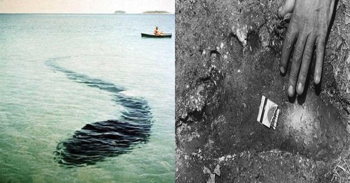 Most Baffling Photos Which Have Never Been Explained