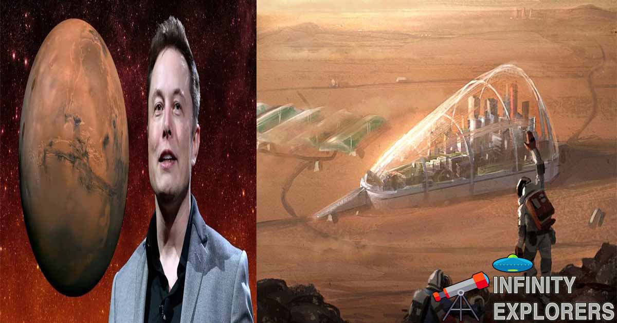 Elon musk featured
